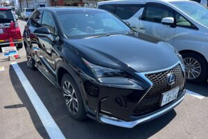 Lexus NX300H F Sport